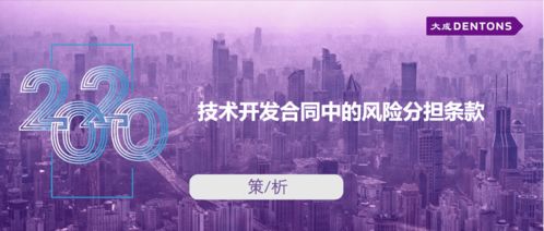 技術開發(fā)合同中的風險分擔條款