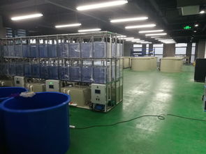 科創組團，引領變革 工業化淡水水產養殖研發中心矚目而成