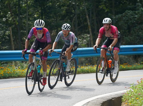 自行車 環鄱陽湖國際自行車大賽進行第五賽段的比賽